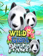 เว็บตรงสล็อตโรม่าแตกง่าย 2021 ที่คุณต้องลอง